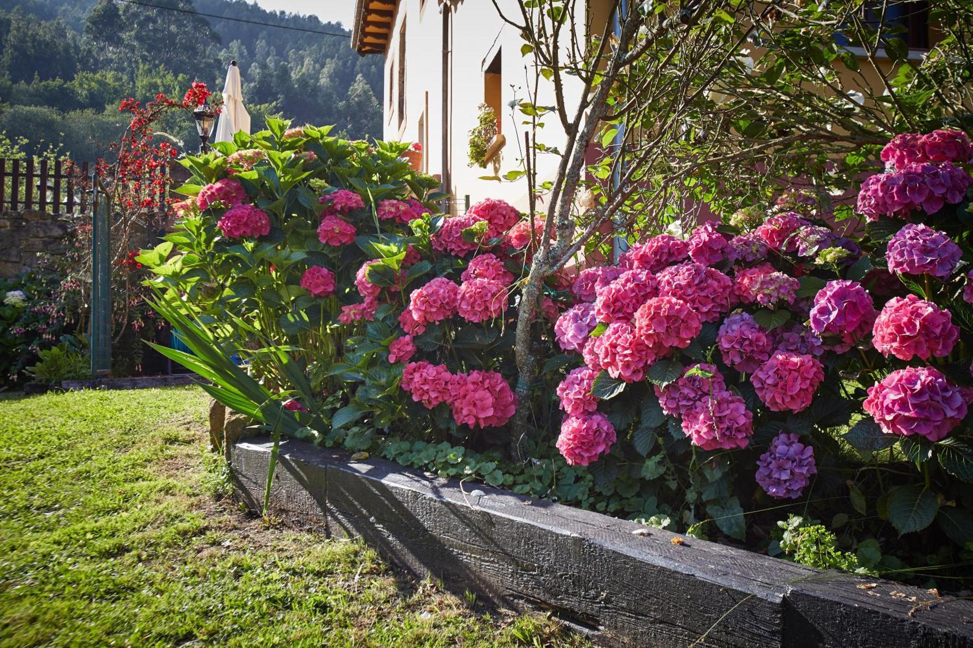 Casa Rural Casa Capion 비야비시오사 외부 사진